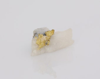 Gold in Quartz Specimen From the Original 16 to 1 Mine, Alleghany ...