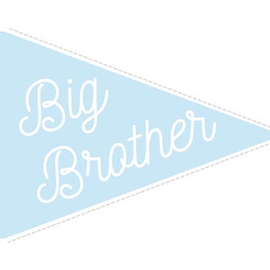 Siblings Announcement Pennants Instant Printable
