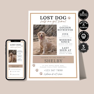 Missing Dog Flyer Poster Template, Lost Pet, Family Poster, Electronic, Digital, Canva 3 Sizes, Instant Download, Editable Printable, FL02b
