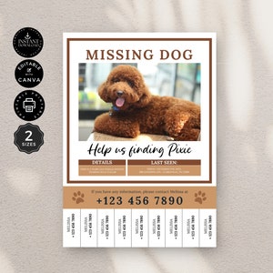 Plantilla de póster con diseño de perro perdido, mascota perdida, gato perdido, póster familiar, Canva tamaño carta A4 de EE. UU., descarga instantánea, editable e imprimible, FL01
