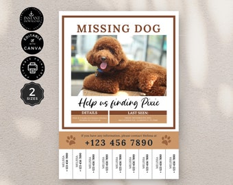 Missing Dog Flyer Poster Template, Lost Pet, Missing Cat, Family Poster, Canva A4 US Letter Size, Instant Download, Editable Printable, FL01