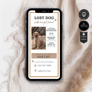 Missing Dog Flyer Template: Lost Pet Poster, Editable Canva (Instant Download) FL02a