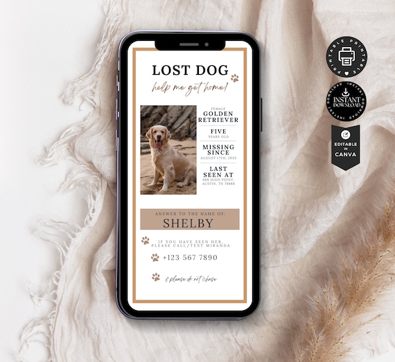 Family Find Missing Pet Missing Dog Flyer Poster Template, Lost