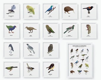 Native birds of New Zealand Bundle of 16 - Kiwiana - Poster Wall Art - Print Digital Download - Home Office Nursery Living