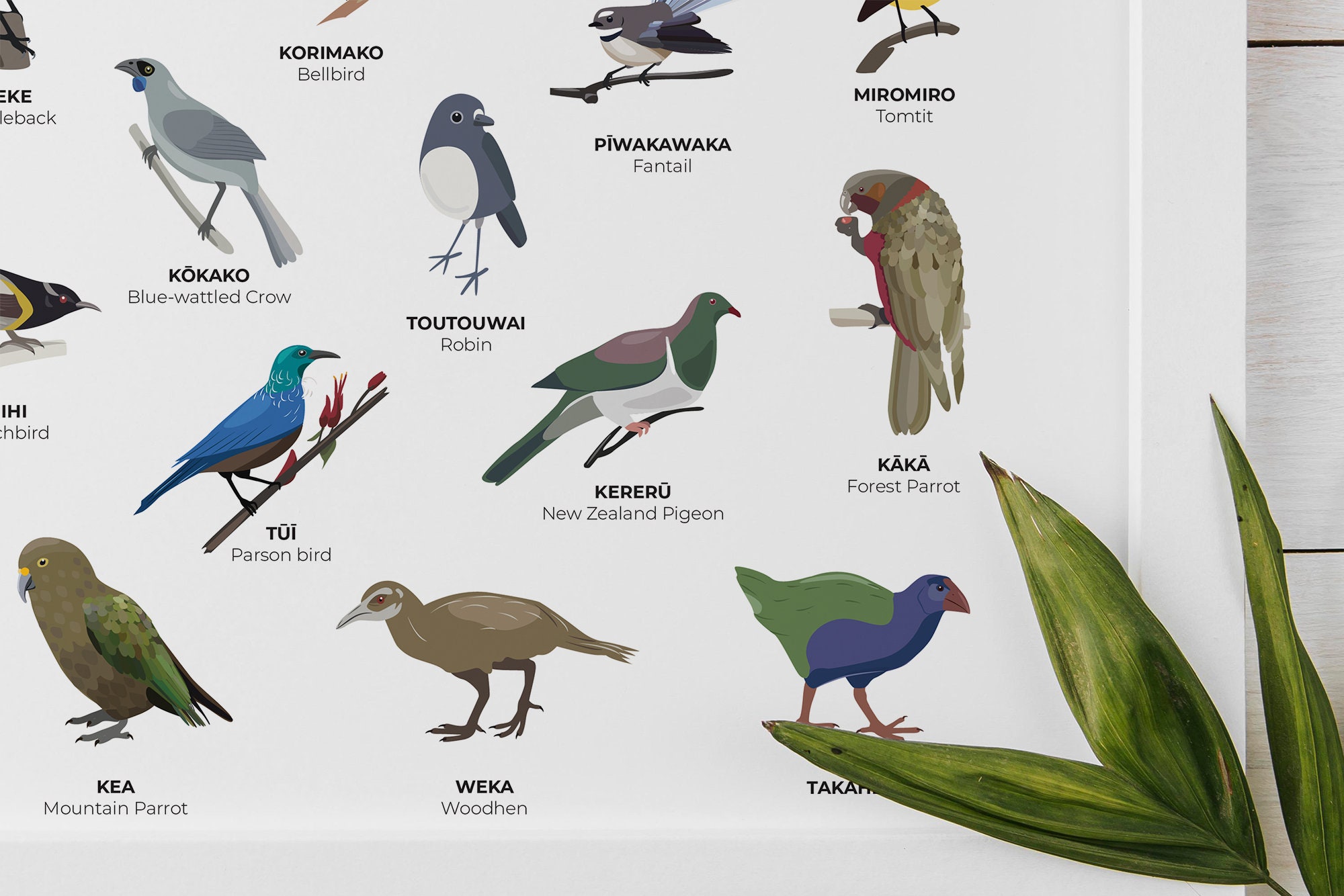 Native Birds of New Zealand - Kiwiana - Poster Wall Art - Print Digital ...