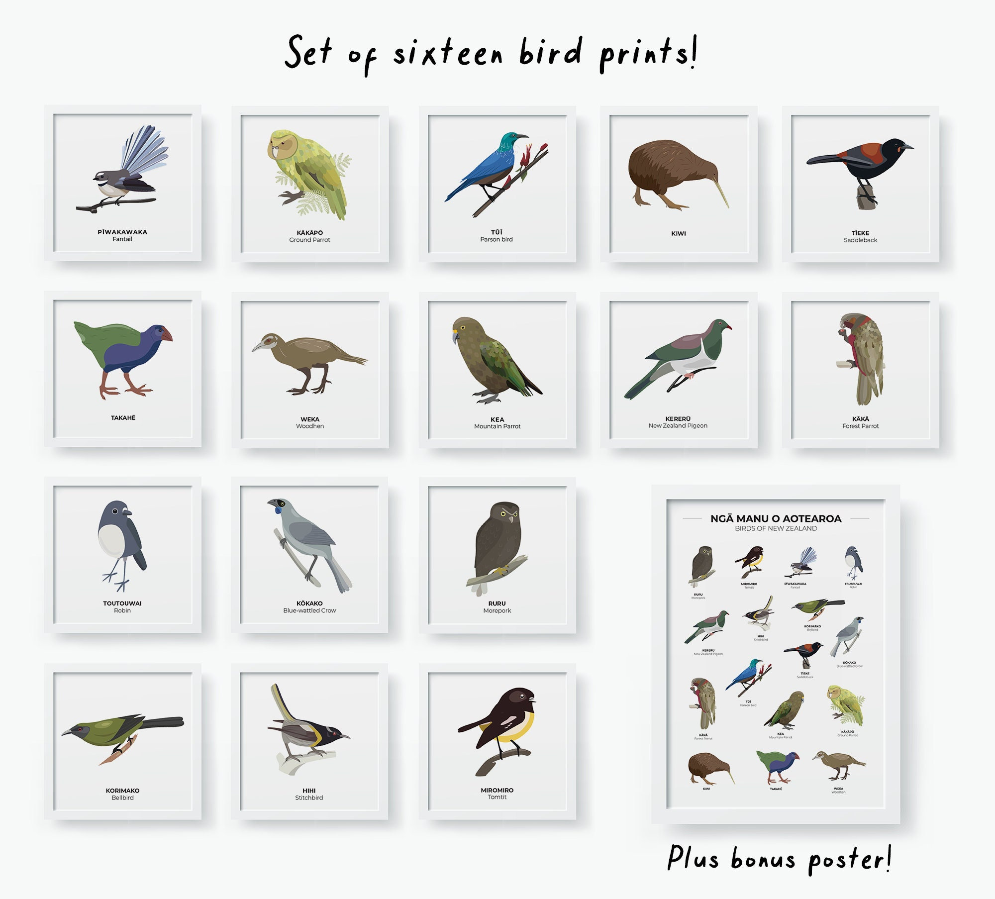 New Zealand Native Birds Art Print Set – Kiwiana Home Decor