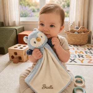 Personalized Owl Blanket Baby Security Lovey Custom Plush Toy Cotton Comfort Nursery Accessory Machine Washable Embroidered Gift Soft Infant