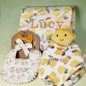 Idea regalo per bambina Lemon, coperta personalizzata, giocattolo di sicurezza, peluche Minky, morbido e confortevole, con nome personalizzato ricamato, regalo per baby shower estivo immagine 7