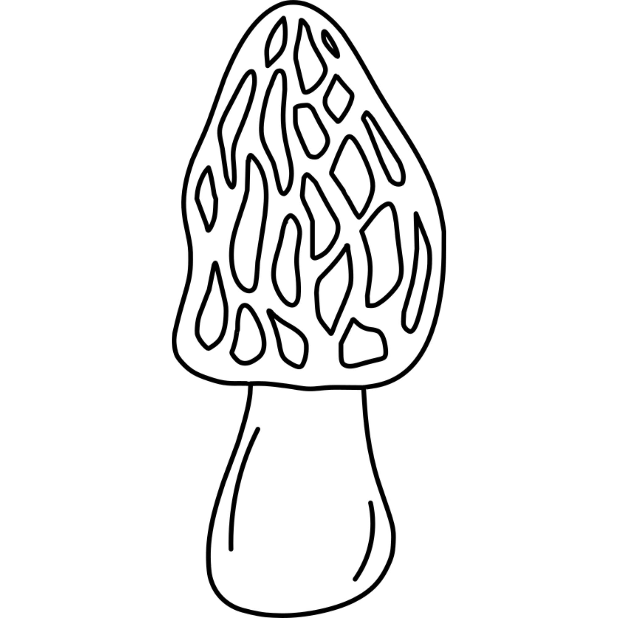 Morrell Svg Mushroom SVG | Morel Svg File | Potted Plants | File Snacks | Laser SVG ...