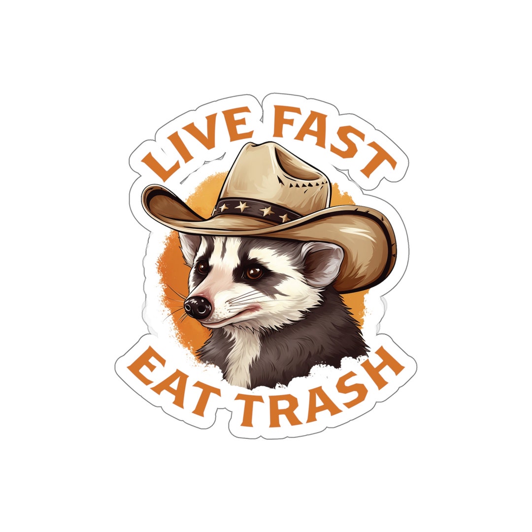 Opossum Sticker, Live Fast Eat Trash, Waterproof Vinyl Laptop Decal - Etsy