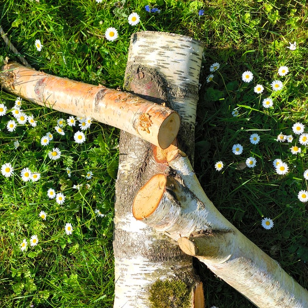 WoodBitie "Classic"-Edition - frisches Knabberholz aus Birke