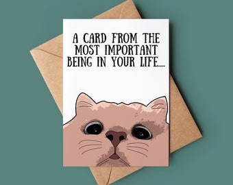 Funny Cat Birthday Card - Funny Birthday Card - Cat Greetings Card - Customised Birthday Card - Animal Lover Birthday Card Demanding Cat