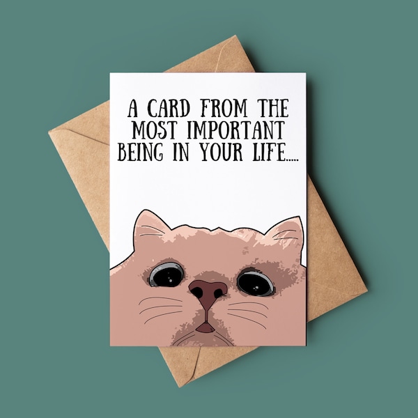 Funny Cat Birthday Card - Funny Birthday Card - Cat Greetings Card - Customised Birthday Card - Animal Lover Birthday Card Demanding Cat