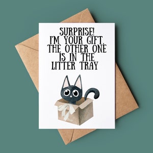 Carte de joyeux anniversaire drôle de chat - carte d'anniversaire de chat grossier - carte de voeux de chat - carte d'anniversaire personnalisée - carte d'amoureux des animaux, je suis votre cadeau