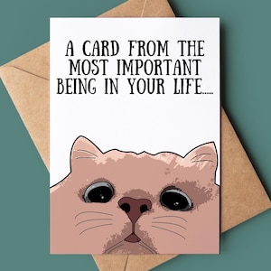 Carte d'anniversaire drôle de chat - carte d'anniversaire drôle - carte de voeux de chat - carte d'anniversaire personnalisée - carte d'anniversaire d'amoureux des animaux chat exigeant