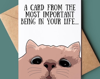 May include: A greeting card with a cartoon cat peeking out from the bottom. The card reads "A card from the most important being in your life..."