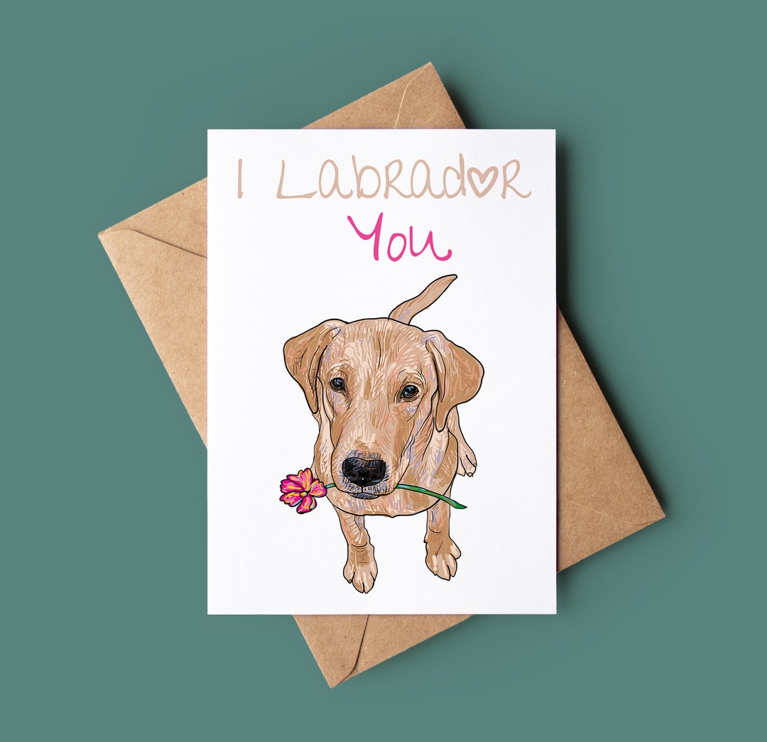 Happy Anniversary Card Dog Pun Congratulations Card Romantic Valentines