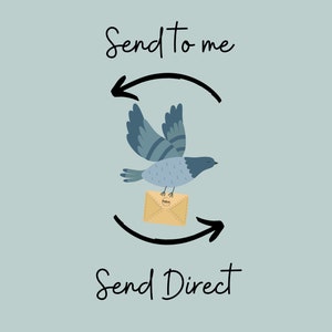 Pu&ograve; includere: Un uccello blu che trasporta una busta marrone con il testo "Send to me" e "Send Direct" su entrambi i lati dell'uccello.