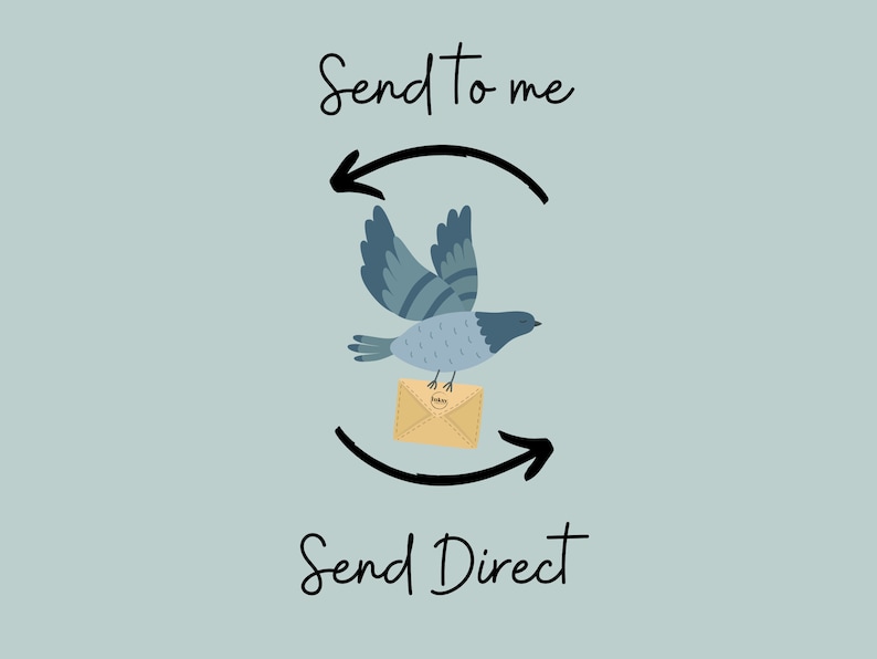 Pu&ograve; includere: Un uccello blu che trasporta una busta marrone con il testo "Send to me" e "Send Direct" su entrambi i lati dell'uccello.