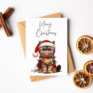 Cartão de gato de Natal - Cartão de feliz Natal - Cartão de Natal engraçado - Cartão de felicitações de gato exótico de pêlo curto - Cartão de aniversário - Cartão de amante de gatos