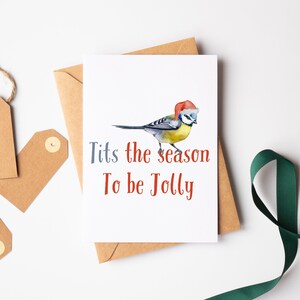 Carte de Noël à mésange bleue - Carte de Noël mignonne - Carte de vœux aquarelle drôle - Carte d’amoureux des animaux - Carte d’amant d’oiseau de blague - Carte de jeu de mots drôle