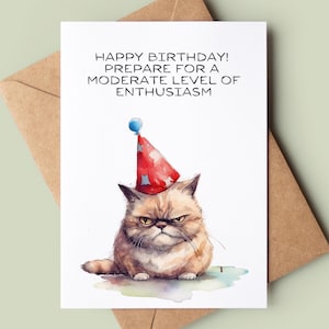 Carte d'anniversaire drôle de chat - carte d'anniversaire de chat grincheux - carte de voeux de chat - carte d'amant de chat - carte d'anniversaire de blague - carte de chat - Bday grossier