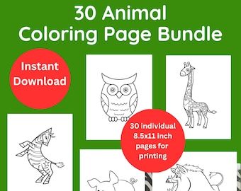 Animal Coloring Pages for Preschoolers, Printable Preschool Animal Coloring Pages for Kids, Animals Party Activity, Instant Download