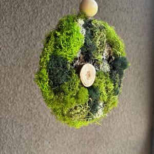 May include: A spherical decorative hanging moss ball, featuring a mix of vibrant green and dark green moss. The moss ball has a small wooden disc accent and is suspended by a natural twine cord and two wooden beads.