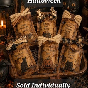 May include: Six rectangular sachets with aged paper labels featuring Halloween themes. Labels include Creepy Cinnamon Spice, Witch's Brew Blend, Ghostly Goodness Blend, Black Cat Spice, Jack O' Lantern Spice, and Haunted Hearth Blend, each topped with decorative bows.