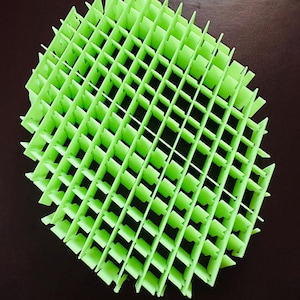 May include: A green plastic grid with many compartments. The grid is shaped like an oval.