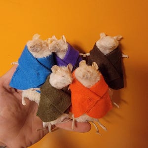 Mystery Mouse!