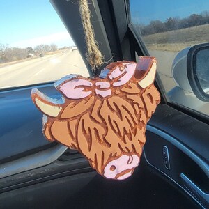 Fluffy Cow