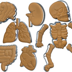 May include: A set of brown cookie cutters in the shapes of human organs and a skeleton. The set includes a brain, lungs, heart, intestines, kidney, and skeletal parts. Each cutter has a silver metal outline, ideal for baking.