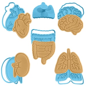 May include: A selection of cookie cutters shaped like human organs, such as a heart, brain, lungs, kidneys, and intestines. The cutters are tan with blue outlines.