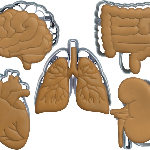 Anatomical cookie cutter set of 5| Kidney Heart Lungs Brain Intestines | Medical Student Gift Organ stamp | human body organ fondant biscuit