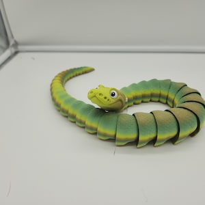 Ball Python