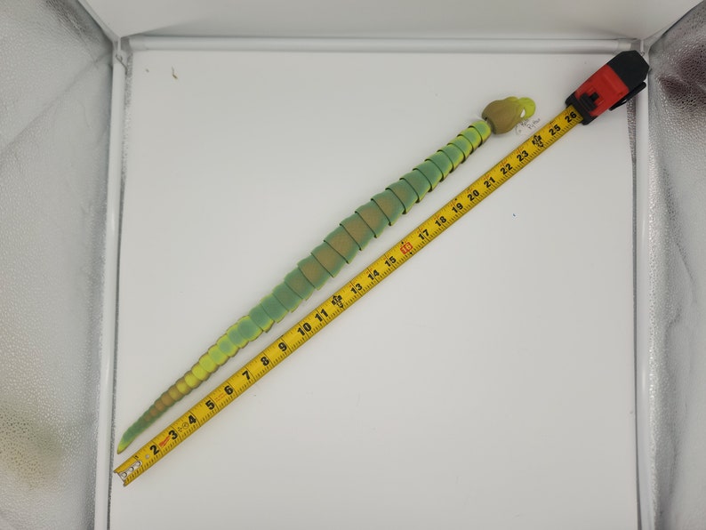 May include: A green and yellow segmented toy snake measuring 22 inches long. The snake is lying on a white surface next to a yellow measuring tape.