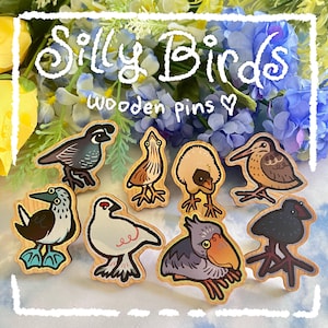 Puede incluir: Un conjunto de pines de madera con ilustraciones de pájaros caprichosos. Los pines presentan varios diseños y colores, con el texto "Silly Birds" y "wooden pins" en una fuente lúdica. Los pines se muestran sobre un fondo floral.