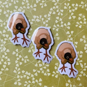 Funny Bird Sticker Small