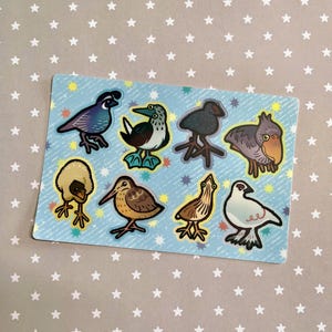 May include: A rectangular sticker sheet featuring eight distinct bird illustrations on a light blue background with scattered yellow and green stars. The birds include a blue quail, a blue-footed booby, a dark bird, a shoebill, a chick, a snipe, a kiwi, and a white pigeon.