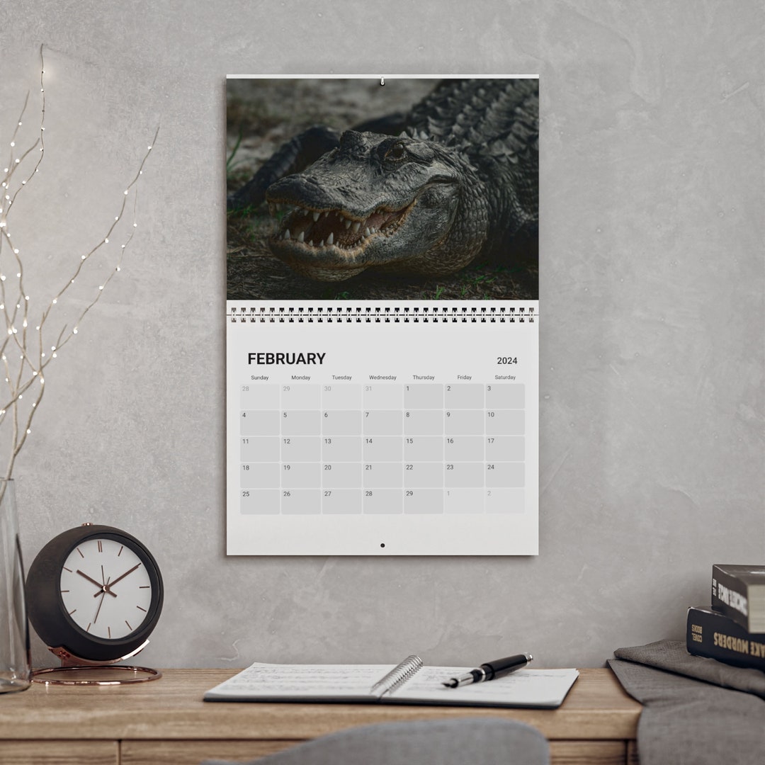 Calendar 2024 American Alligator Photo Reptile Florida Etsy