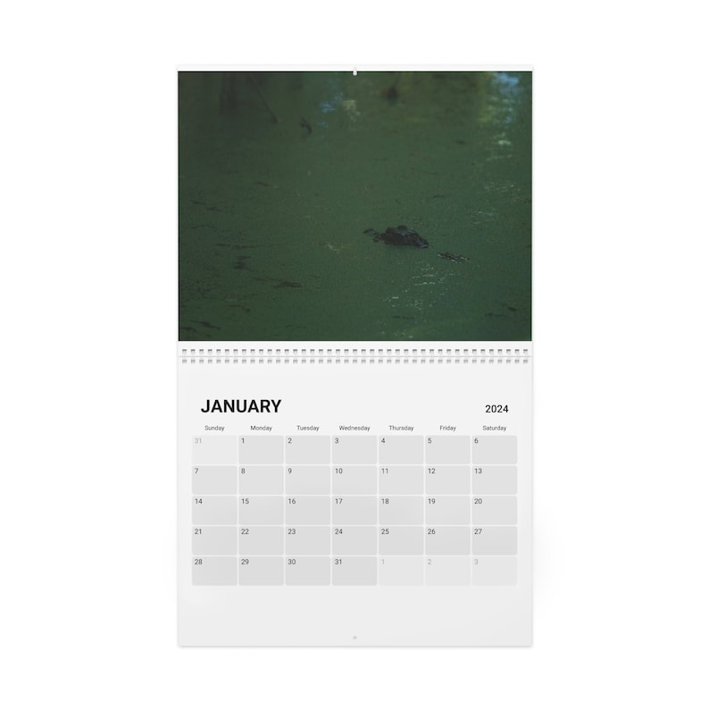 Calendar 2024 American Alligator Photo Reptile Florida Etsy