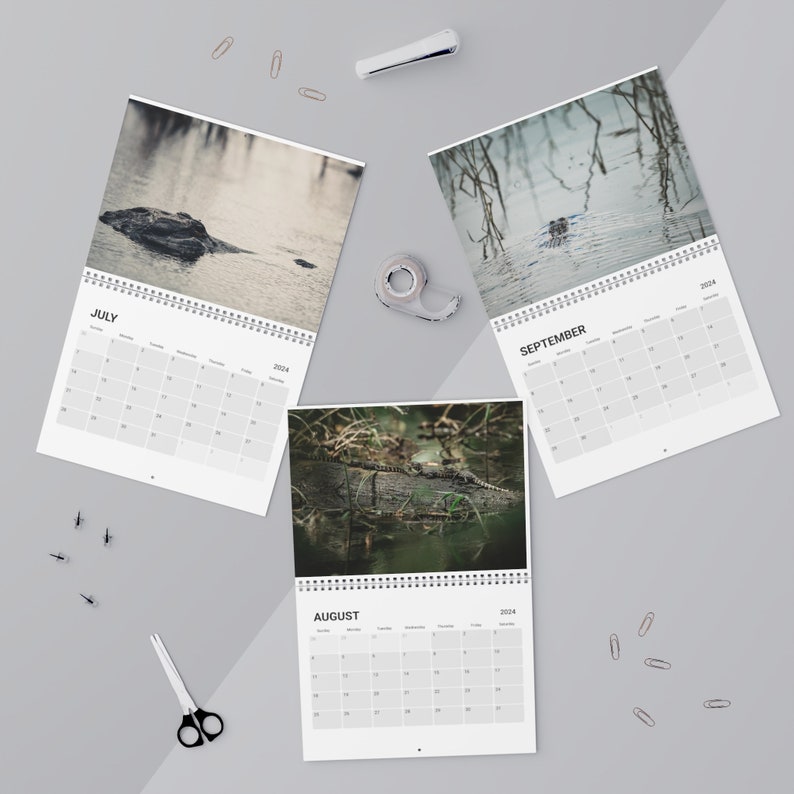 Calendar 2024 American Alligator Photo Reptile Florida Etsy