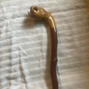 Cane/walking stick