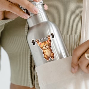 Cat sticker feline gifts kitty cat logo for tumbler water bottle stickers fitness barbell stickers for phone case phone accessories for gym