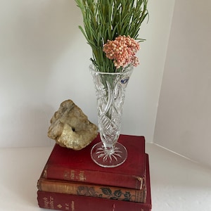 Bohemian 24% Lead Crystal Bud Vase