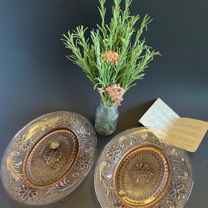 Pair of Indiana Glass Tiara Pink Oval Plates - in original box!