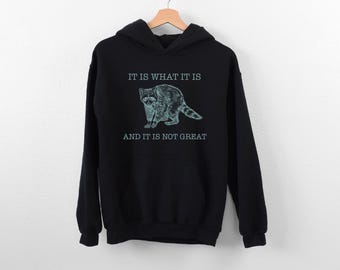 It Is What It Is And It Is Not Great Hoodie, Funny Raccoon Meme Hoodie, Mental Health Hoodie, Raccoon Lover Hoodie, Trash Panda Hoodie, Girl
