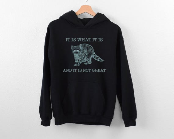 It Is What It Is And It Is Not Great Hoodie, Funny Raccoon Meme Hoodie, Mental Health Hoodie, Raccoon Lover Hoodie, Trash Panda Hoodie, Girl