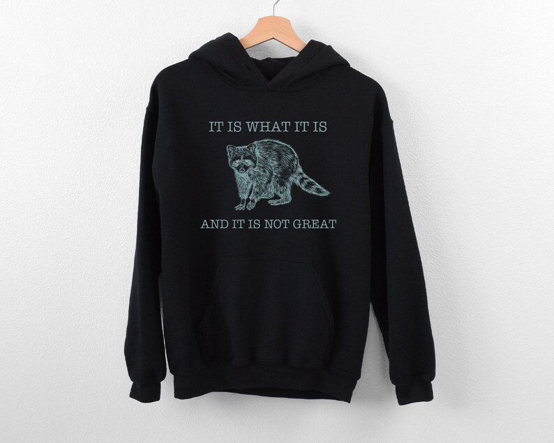 a black hoodie that says it is what it is and it is not great